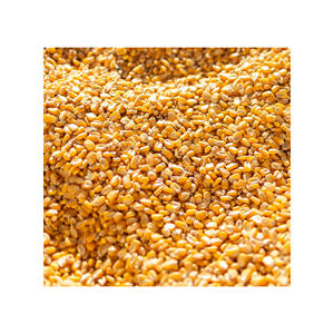 Grano de maíz amarillo apto para harina de cereales y dietas animales - Product Image 5