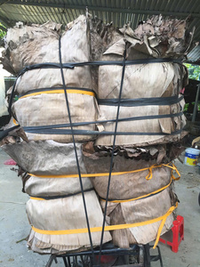 ใบตองแห้งและสดส่งออกวัสดุเกรดอาหารสำหรับการจัดเก็บแช่แข็ง - Product Image 4