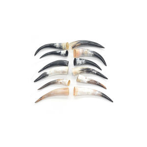 Vente en gros de cornes de vache en stock avec un prix attractif pour les acheteurs mondiaux - Product Image 4