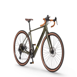 Bicicleta eléctrica ligera para gravel Ecobikes Forest Plus, ideal para dropshipping - Product Image 1