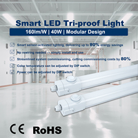 Lámpara LED Tri-Proof con Sensor de Movimiento PIR IP65, 30W, 2 Pies/4 Pies, Enlazable, Resistente al Agua, Alto Lumen, para Estacionamiento y Pasillo