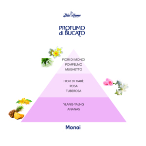 Blu Home 250 ml (Caja con 24 unidades) Ambientadores Monoi en Aerosol, Difusor de Perfume para Habitaciones y Telas - Product Image 2