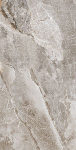 À prix réduit!! Carreaux de sol émaillés en porcelaine de conception la plus populaire fabriquant en Inde pour la réception d'hôtel. - Product Image 2