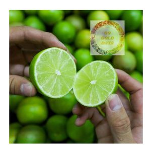 PREMIUM EXPORTATION FRAIS SANS GRAINES LIME VIETNAM FRUIT VERT MEILLEUR PRIX FOURNISSEUR POUR LE MARCHÉ MONDIAL - Product Image 2