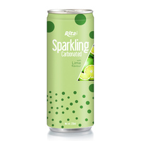 Gratis Monster Bruisend Water Natuurlijke Gearomatiseerde Gefilterde Puree Redelijke Prijs Voorkomen Uitdroging Fruitgroentesap