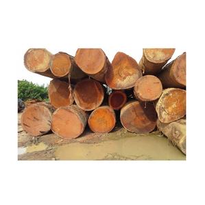 Troncos de madera Meranti de calidad de exportación: aserrados, cepillados y secados al horno - Product Image 2
