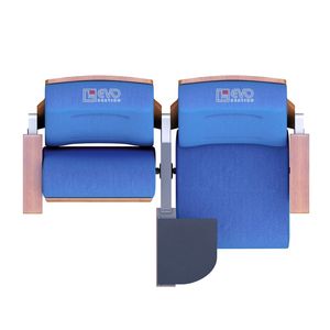 Fabricante de Sillas para Auditorios OEM que Ofrece Soluciones de Asientos Personalizadas para los Mercados Educativos y Teatrales Globales - Product Image 1