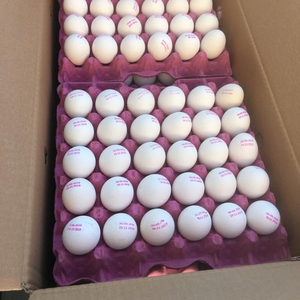 Huevos de Gallina Naturales de Turquía, los Más Vendidos – Producto Animal Fresco de Alta Calidad, Precio al por Mayor, Opción Saludable - Product Image 4