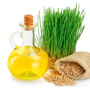 Пищевое натуральное масло зародышей пшеницы для ухода за кожей масло зародышей пшеницы цена поставщик масла-носителя