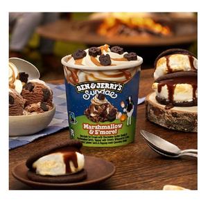 Crèmes glacées Ben and Jerrys, friandises glacées de qualité supérieure, grand format, saveurs assorties, idéal pour les restaurants et les magasins - Product Image 3