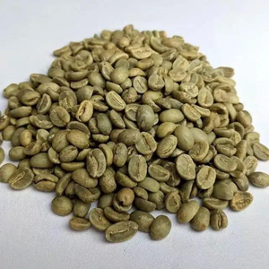 VILACONIC Vietnam ROBUSTA GREEN DE CAFÉ-Calidad de exportación de procesamiento de granos de café Robusta-Whatsapp:+ 84 388 385 347 Alicia - Product Image 3