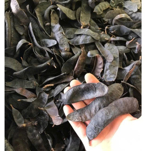 CALIDAD PREMIUM FRUIT BLACK LOCUST ORGANIC NATURAL HOT DEAL AL POR MAYOR EXPORTACIÓN LISTO SUMINISTRO A GRANEL TOP VENTAS - Product Image 2