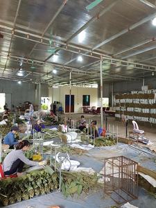 Feuilles de bambou séchées naturelles du Vietnam - Enveloppes et décorations pour collations de fête, marque Blue Lotus, durée de conservation de 24 mois - Product Image 6