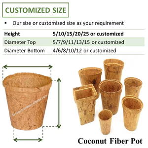 Eco2go Vietnam - Macetas Biodegradables y Sostenibles de Fibra de Coco, Macetas para Flores, Macetas para Plantas - Product Image 4