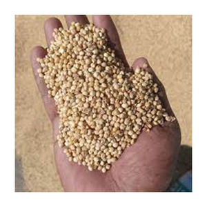 Taux bon marché de vente en gros du meilleur nouveau matériel du fabricant de graines de sorgho jaune de haute qualité - Product Image 3