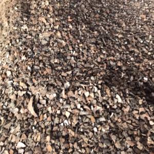 Puce de balle de Coco du Vietnam, fournisseur de puce de balle de Coco avec produit agricole de bonne qualité puce de balle de Coco vacances - Product Image 4