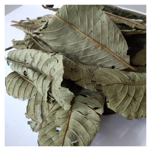 Feuille de goyave séchée en vrac du Vietnam Convient aux sachets de thé Savon fait main Soins des cheveux et plus - Product Image 2