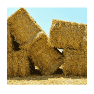 Herbe de Rhodes de qualité supérieure : le choix idéal pour des animaux en bonne santé et robustes - Product Image 6