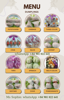 Boulette d'exportation vietnamienne de haute qualité | potsticker | Wonton | boulettes congelées | petit déjeuner dim sum | commandes en gros gyoza disponibles