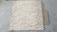 2025 LedgerStone Split Face Classique Lumière Travertin 2.5x5cm Fabriqué en Turkiye 100% Pierre Naturelle pour Projets de Construction Villa