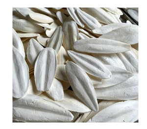 Proveedor de Vietnam de hueso de sepia seca con suministro estable - Product Image 1