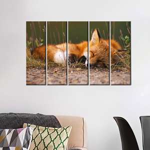 Arte impreso en lienzo de zorro durmiente: lindo póster de zorro para decoración del hogar, 5P: Gallery Wrapped - Product Image 1