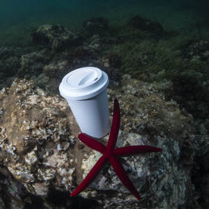 Gobelets/Tasses/bocaux et thermos/Articles durables M72667634 - Product Image 2