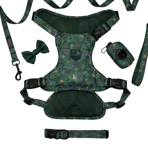 Ensemble de harnais d'exploration pour chien rembourré et doux avec collier en maille respirante, laisse, nœud papillon, bandana et porte-sac à crottes - Product Image 1