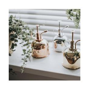 Top quality best design Garden <b>Mister</b> Sprayer For Watering <b>Plants</b> Brass <b>Mister</b> Made of Indian Pure Brass manufacturer from India - Product Image 3