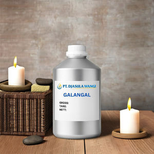 Huile Essentielle de Galangal 100% Pure 5kg Vente en Gros Approvisionnement Direct du Fabricant Vietnamien OEM & Marque Privée Disponibles - Product Image 1