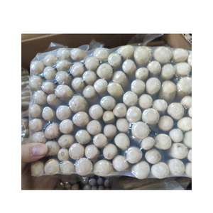 Vietnam COFFEE WOOD DOG CHEW STICK <b>for</b> <b>Puppies</b> - Best Price High Quality Pet <b>Toys</b> 100% Natural Coffee Wood Pet Chew Sticks - Product Image 6