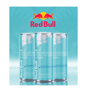 Red Bull Winter Edition 250ml de qualité supérieure, vente flash pour stations-service et détaillants saisonniers - Product Image 3