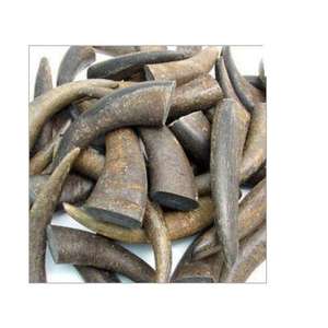 Punta de Cuerno de Búfalo Cruda, Ecológica, Hecha a Mano, Tamaño Personalizado, Diseño Moderno, Alta Calidad, Decoración para Bodas y Fiestas, Regalo - Product Image 1