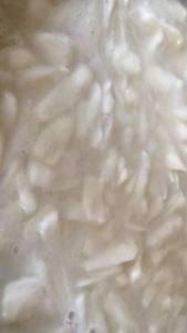 Guanabana Guyabano Soursop Graviola ผลไม้จากเวียดนามขายส่งจำนวนมาก - Product Image 5