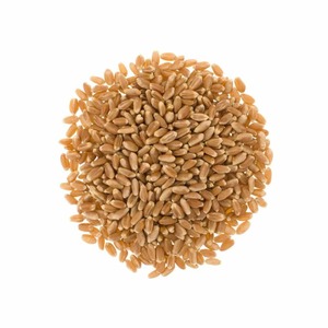 Fresh Harvest Soft White <b>Wheat</b> with Low Moisture Content Soft White <b>Wheat</b> Ready for Bulk Purchase and Food Production - Product Image 2