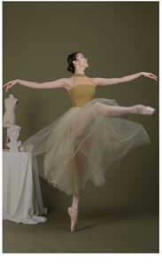 Ropa de Danza Profesional Personalizada de Alta Calidad con Pedrería, Traje de Danza Rítmica para Mujer, Leotardo de Ballet, Servicio OEM - Product Image 4