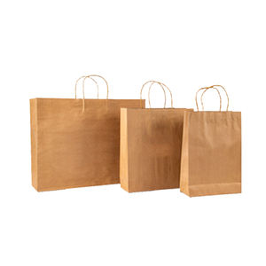 เครื่องทำกระเป๋ากระดาษอัตโนมัติจากอินเดีย - Product Image 2