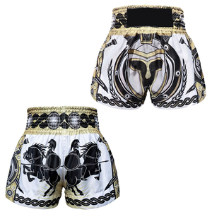 Pantalones cortos de lucha de fabricante al por mayor con logotipo personalizado pantalones cortos Muay Thai de diseño al por mayor OEM Fitness - Product Image 6