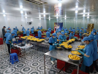 Frutos secos al por mayor a precio de fábrica 100% mango Kaew suave y seco natural orgánico de alta calidad de Vietnam