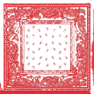 Bandana carré en coton biologique imprimé de logo personnalisé de vente à chaud en usine, tissu à la mode et réutilisable - Product Image 1