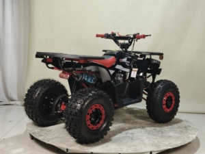 <strong>ATV</strong> UTV 150cc-800cc 2WD <strong>Quad</strong> <strong>Bike</strong> 4 Wheeler Motorcycle Automatic Chain Drive Transmission System - Product Image 6