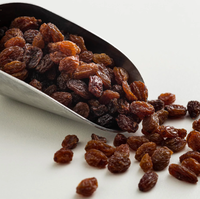 Raisins secs biologiques Sultana à bas prix et raisins secs en vrac Snack sucré au meilleur prix à vendre