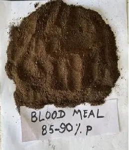 Blood Meal For Animal Feed For Livestock Wholesale Best Supplier at Competitive Price