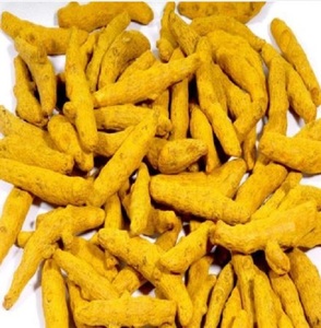 Dedo de cúrcuma de Nizamabad Premium | Cosechado salvaje y pulido doble | Extracto de plantas herbales - Product Image 4