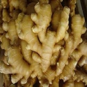 Jengibre Puro de Calidad, Especia Natural Seca para Cocinar, Mezclas Culinarias y para Realzar el Sabor en Recetas Cotidianas - Product Image 6