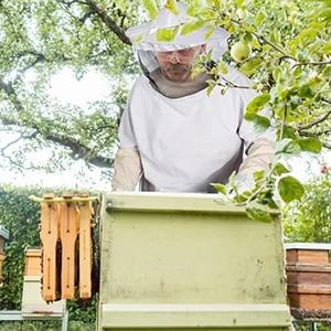 Chaqueta de seguridad para el mantenimiento de abejas, poliéster protector, impermeable, de talla grande, a prueba de picaduras, traje ligero, capucha, equipo de apiario, miel - Product Image 6