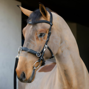 Da cavesson Bridle với mềm mũi và cổ Padding và 3 nhẫn cho reins hoặc lunge dòng - Product Image 2