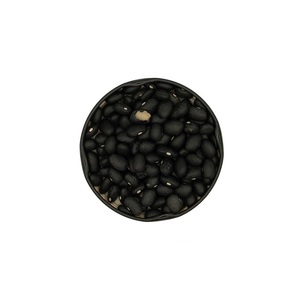 Frijoles negros de alta calidad para compradores al por mayor con entrega rápida - Product Image 5