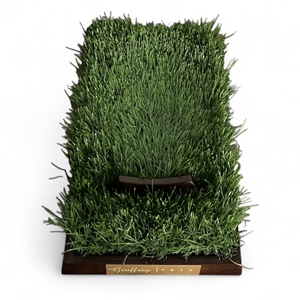 Antique Classic Retro Logo <b>Football</b> 100% Cow Leather High Air Retention Vintage Style Wooden Plinths Portable <b>Presentations</b> Ball - Product Image 2