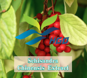 Approvisionnement direct d'usine HGO d'extrait de Schisandra Chinensis naturel pur (qualité alimentaire) spécification 10:1 (extrait de rapport) - Product Image 2